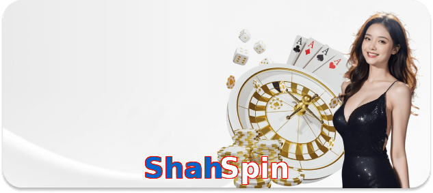 ShahSpin interface sample